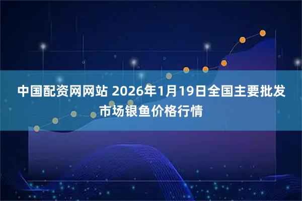 中国配资网网站 2026年1月19日全国主要批发市场银鱼价格行情